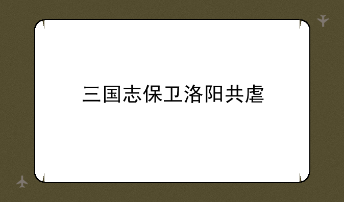三国志保卫洛阳共虐