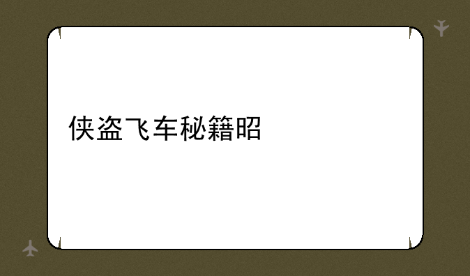 侠盗飞车秘籍是什么