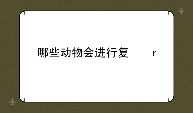 哪些动物会进行夏眠