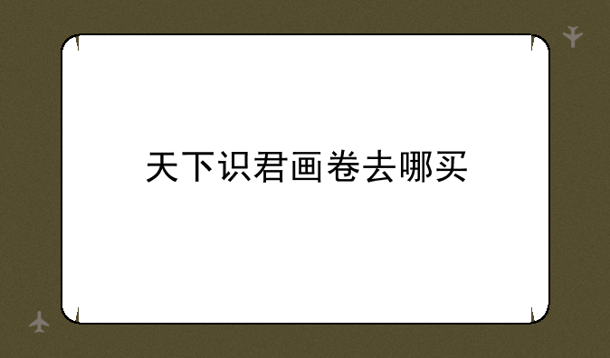 天下识君画卷去哪买