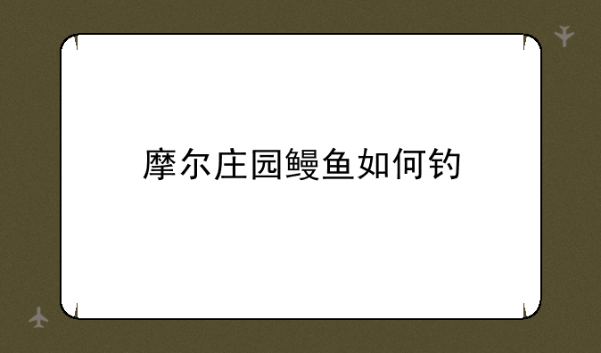 摩尔庄园鳗鱼如何钓