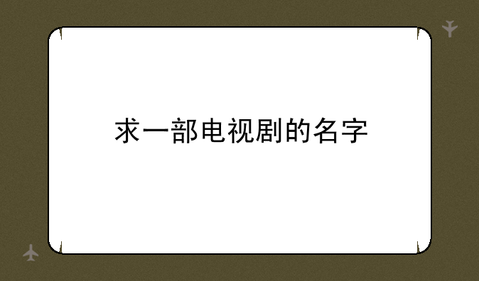 求一部电视剧的名字
