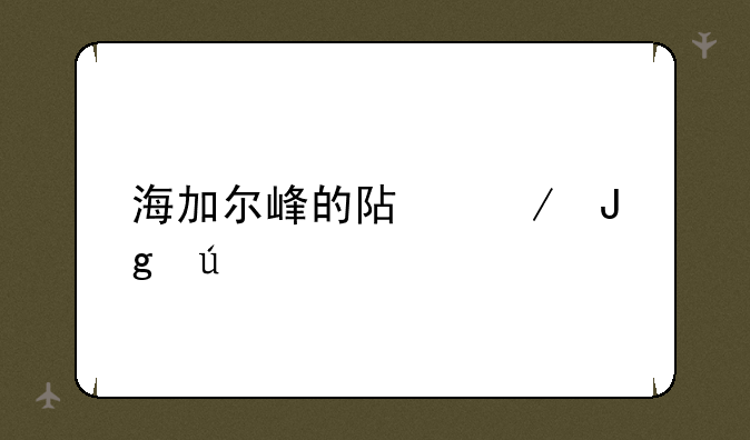 海加尔峰的阿克蒙德