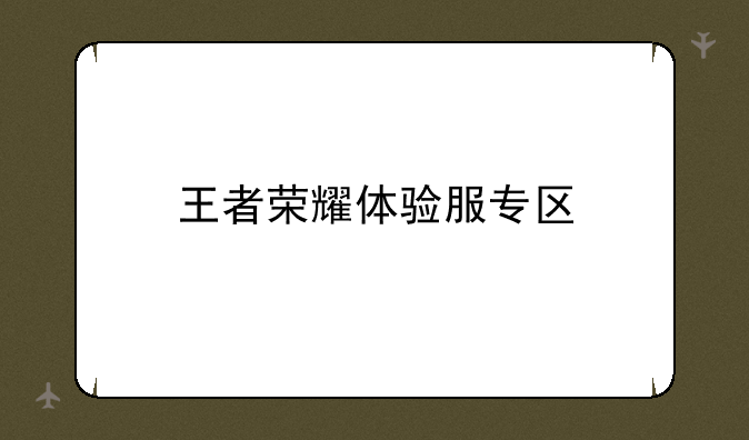 王者荣耀体验服专区