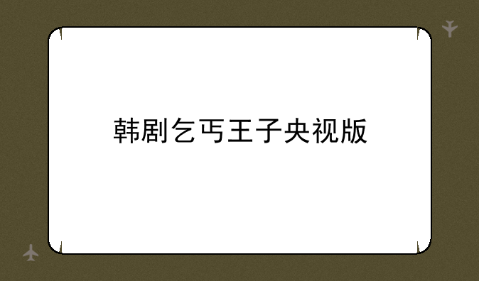 韩剧乞丐王子央视版