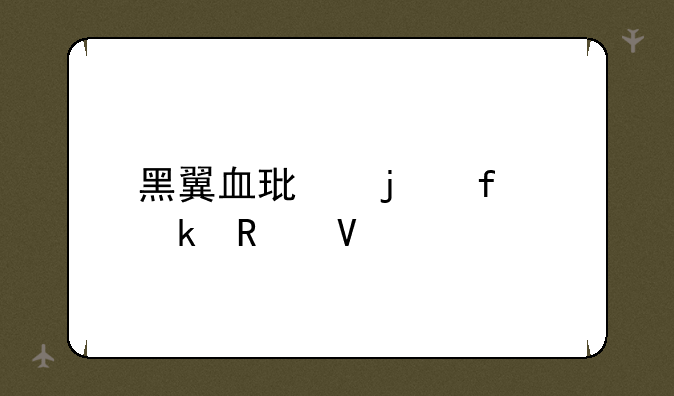 黑翼血环的普通攻略