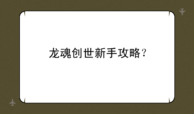 龙魂创世新手攻略？