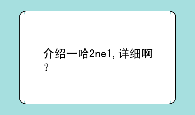 介绍一哈2ne1,详细啊？