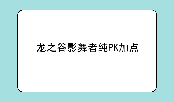 龙之谷影舞者纯PK加点