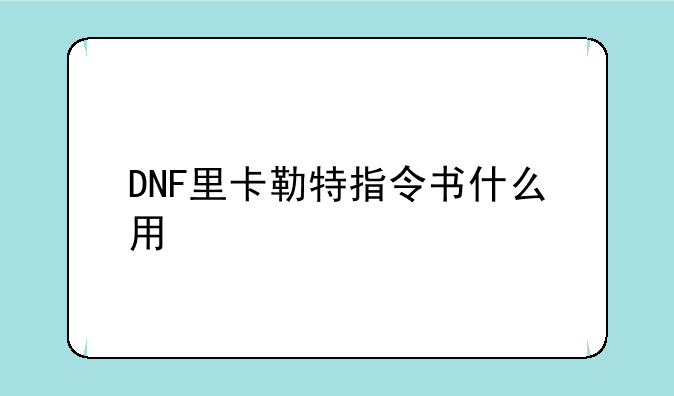 DNF里卡勒特指令书什么用