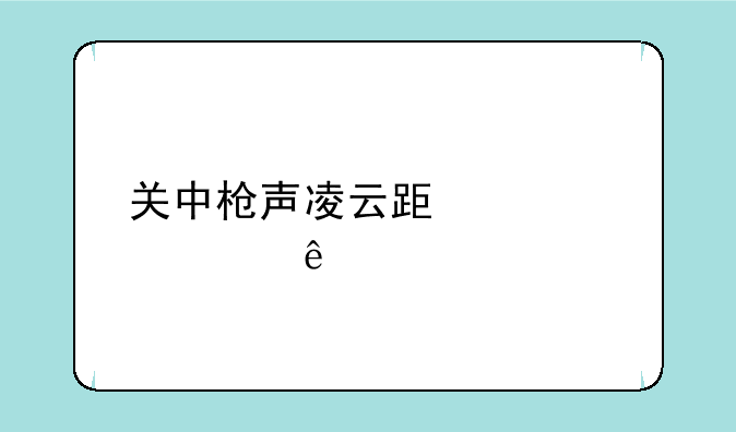 关中枪声凌云跟过几个人