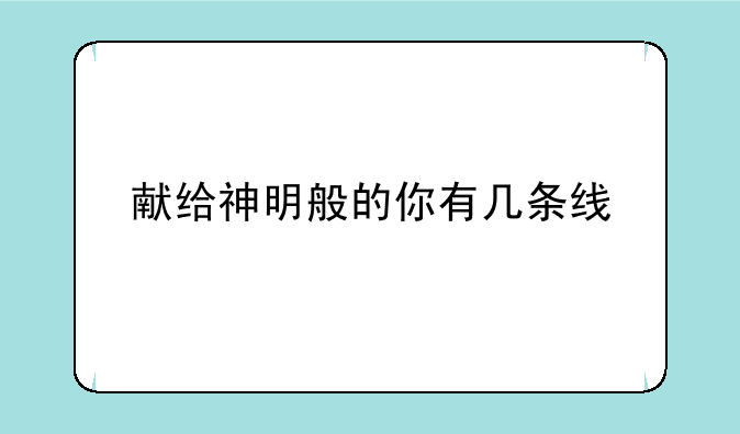 献给神明般的你有几条线