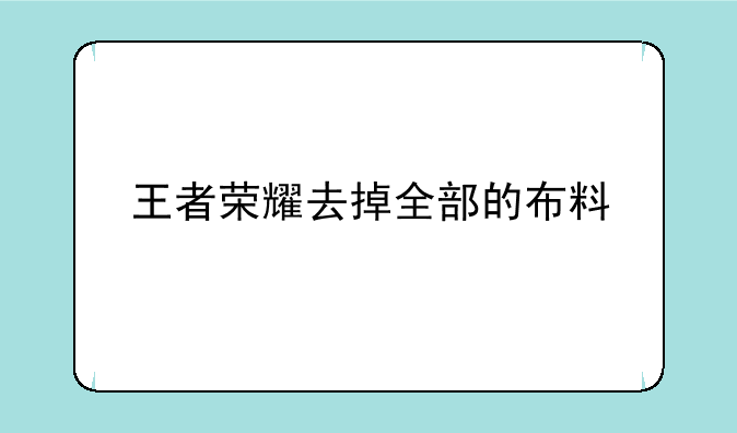 王者荣耀去掉全部的布料