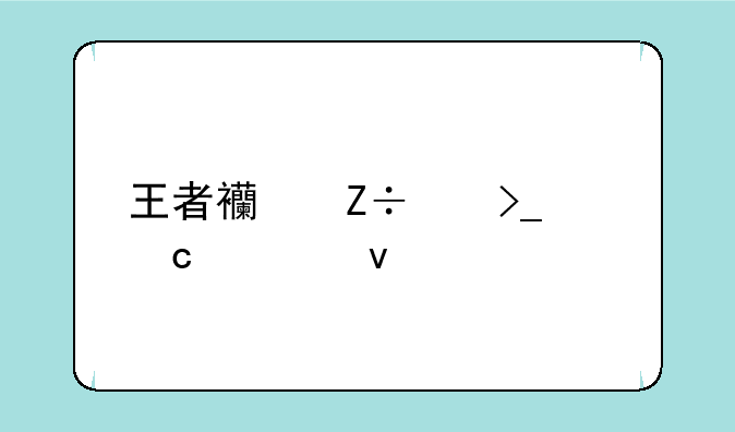 王者西施享受还流着什么