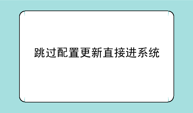 跳过配置更新直接进系统