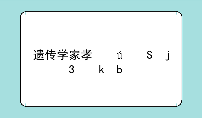 遗传学家孟德尔的职业是