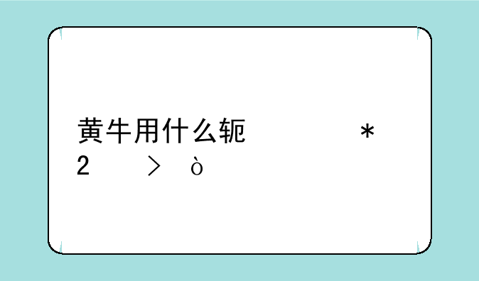 黄牛用什么软件抢挂号？