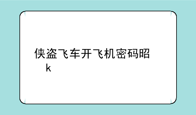 侠盗飞车开飞机密码是多少