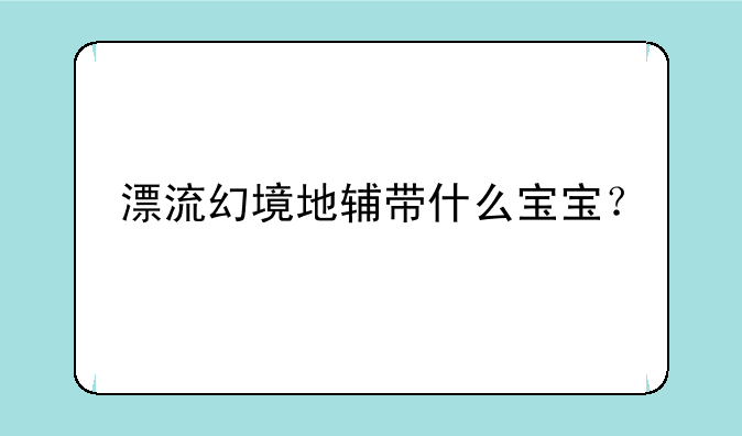 漂流幻境地辅带什么宝宝？