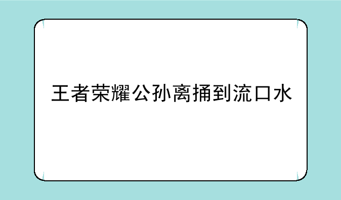 王者荣耀公孙离捅到流口水