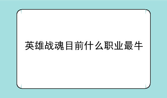 英雄战魂目前什么职业最牛
