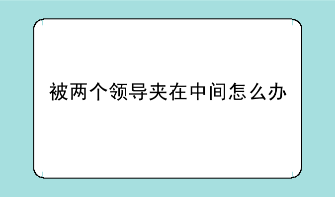 被两个领导夹在中间怎么办