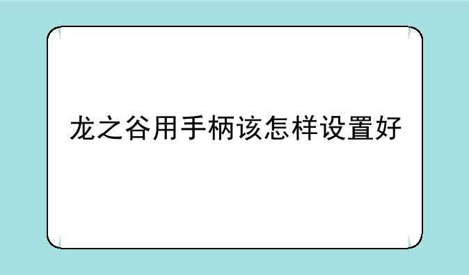 龙之谷用手柄该怎样设置好