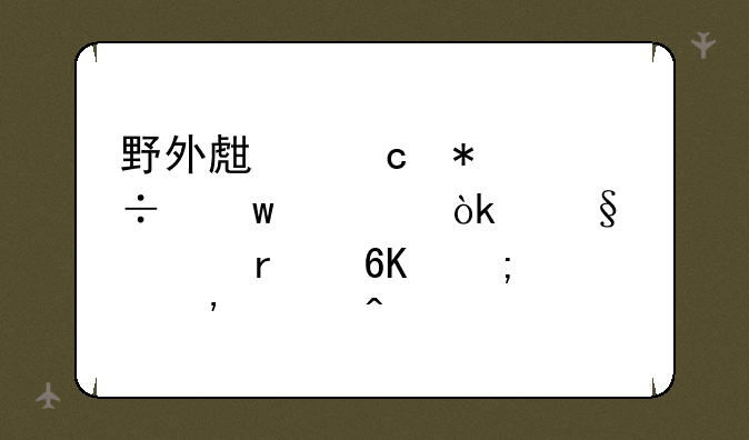野外生存技能宝典：让你在荒野中安然无恙