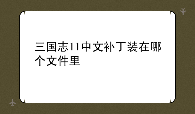 三国志11中文补丁装在哪个文件里