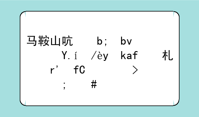 马鞍山启明星软件信息技术有限公司怎么样？