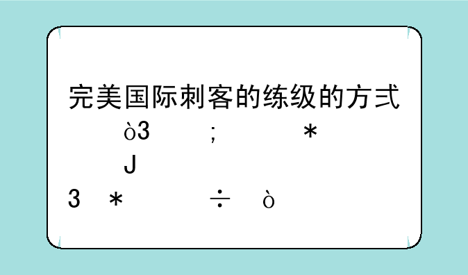完美国际刺客的练级的方式，怎样加点和技能！