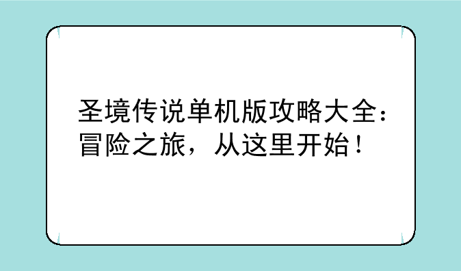 圣境传说单机版攻略大全：冒险之旅，从这里开始！