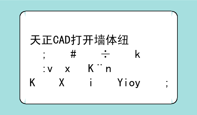 天正CAD打开墙体线怎么都通过原点了，之前是好的？