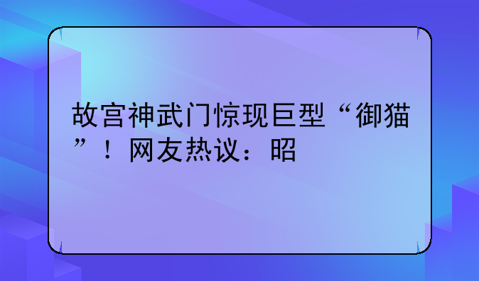 故宫神武门惊现巨型“御猫”！网友热议：是特效还是艺术装置？