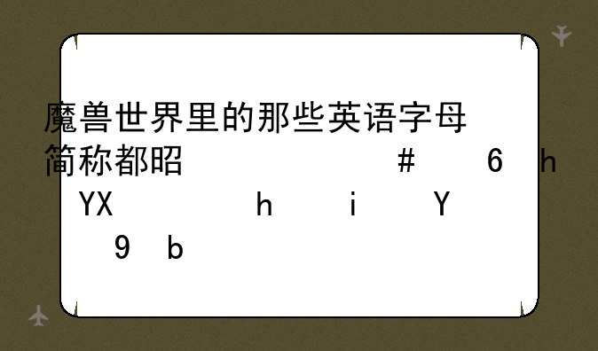 魔兽世界里的那些英语字母简称都是什么意思啊，我是新手？