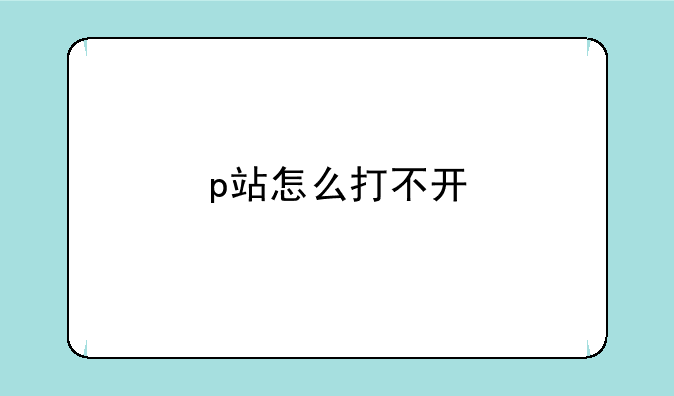 p站怎么打不开