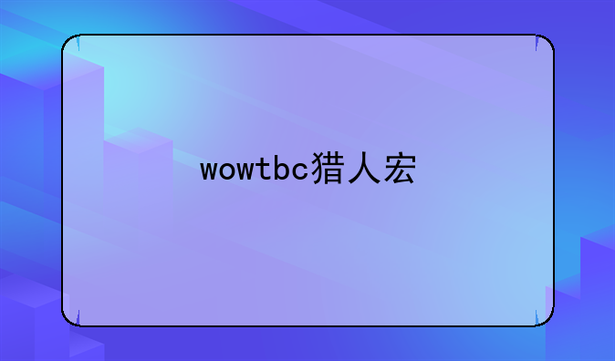 wowtbc猎人宏