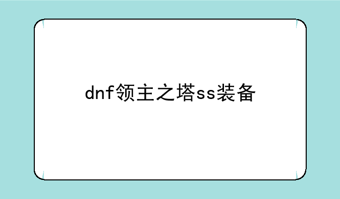 dnf领主之塔ss装备