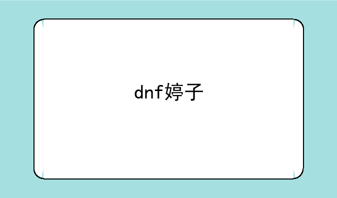 dnf婷子