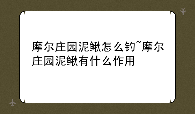 摩尔庄园泥鳅怎么钓~摩尔庄园泥鳅有什么作用