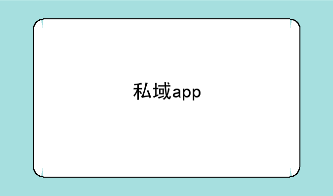 私域app
