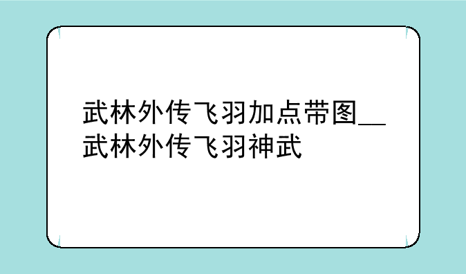 武林外传飞羽加点带图__武林外传飞羽神武