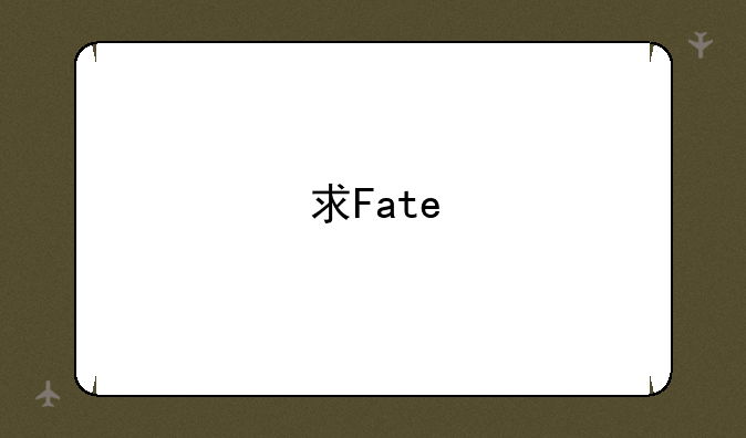 求Fate/Stay Night全中文攻略不要有一点日文哦