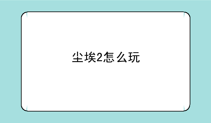 尘埃2怎么玩