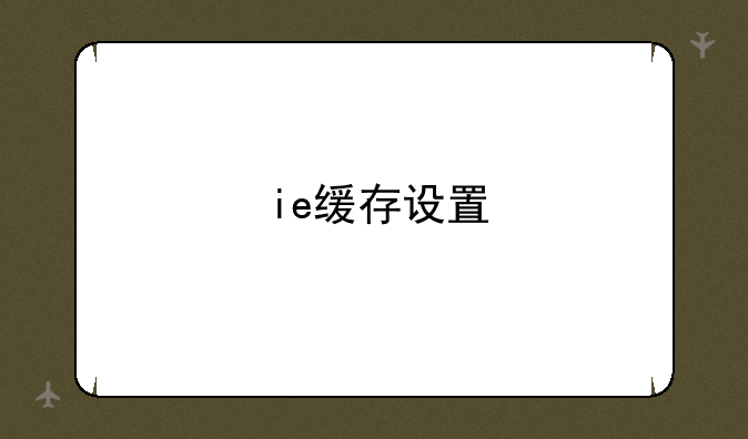 ie缓存设置