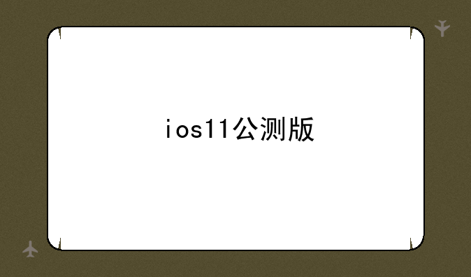 ios11公测版